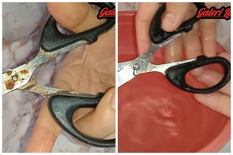 Tanpa direndam cuka, ini trik atasi gunting karatan dan tumpul jadi tajam lagi ditambah 1 bahan&nbsp;dapur