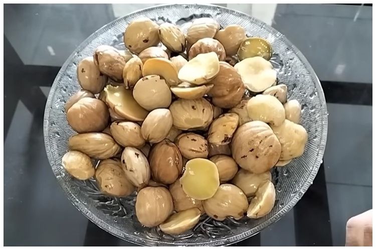 Cuma 17 menit, trik emak-emak rebus jengkol ini cepat empuk dan antibau pakai 2 bahan dapur