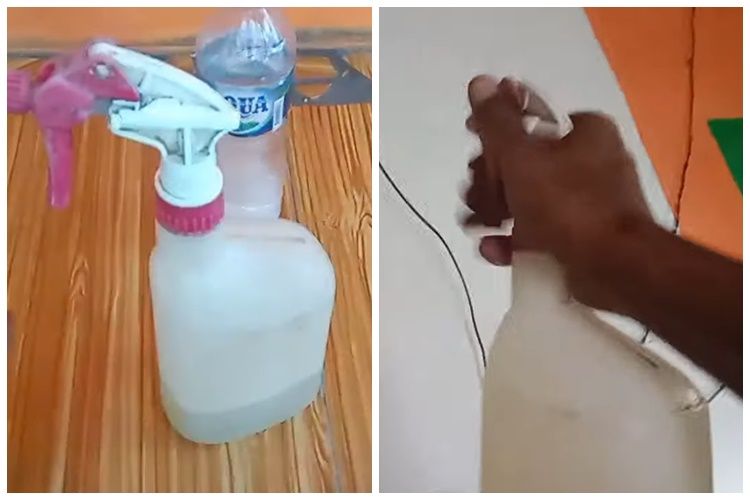 Tanpa bikin perangkap, ini trik simpel bikin ramuan pengusir cicak pakai tambahan 1 bahan&nbsp;dapur