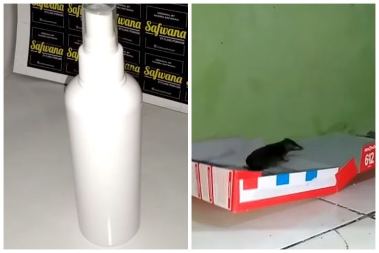Modal Rp 6.000, ini cara ampuh hilangkan bau pesing kotoran tikus pakai tambahan 1 bahan&nbsp;dapur