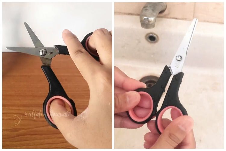 Bukan digosok ke kardus, ini trik mudah menajamkan gunting tumpul cuma pakai 1 sampah dapur