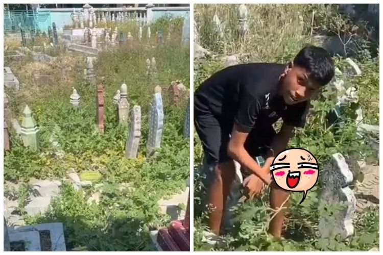 Bukan kamboja, warganet ini temukan satu jenis buah ini tumbuh di sekitar&nbsp;makam