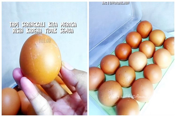 Bukan langsung dilap tisu, ini cara aman bersihkan telur yang hendak disimpan agar tak&nbsp;terkontaminasi
