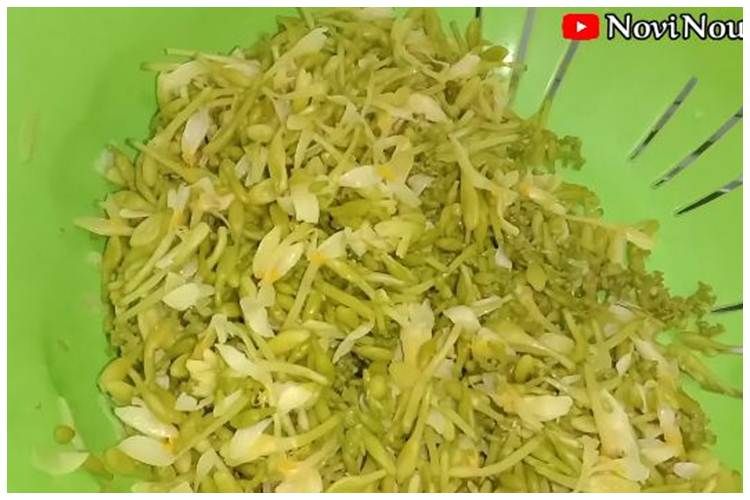 Warna tetap hijau dan antipahit, begini cara rebus bunga pepaya cukup tambah 3 bahan&nbsp;sederhana